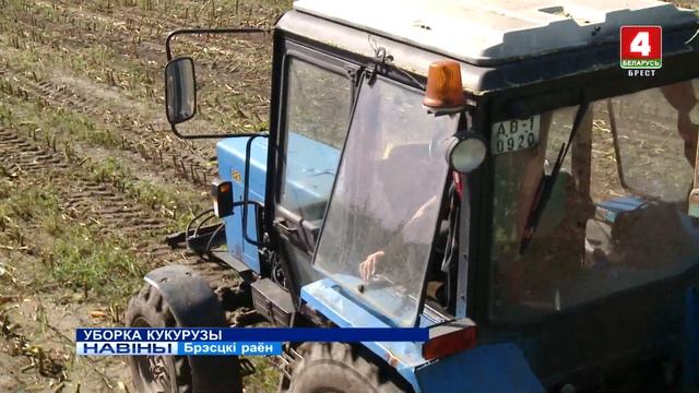УБОРКА КУКУРУЗЫ (Відэа) смотреть онлайн