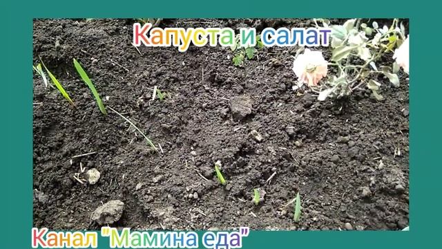 1день в теплице смотреть онлайн