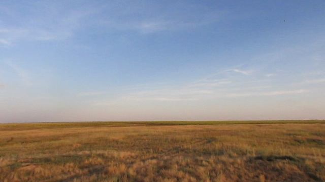 Исчезнувшая деревня Федоровка, Ивантеевский район.