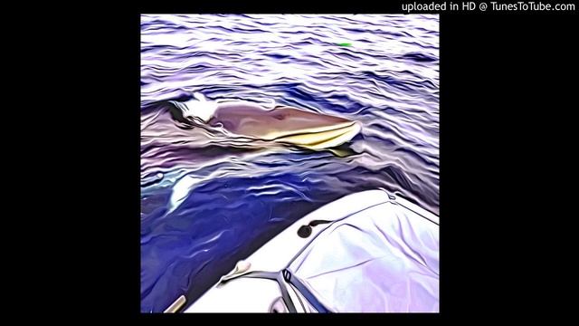 prichki - Кит (Whale) post-punk, shoegaze, dreampop смотреть онлайн