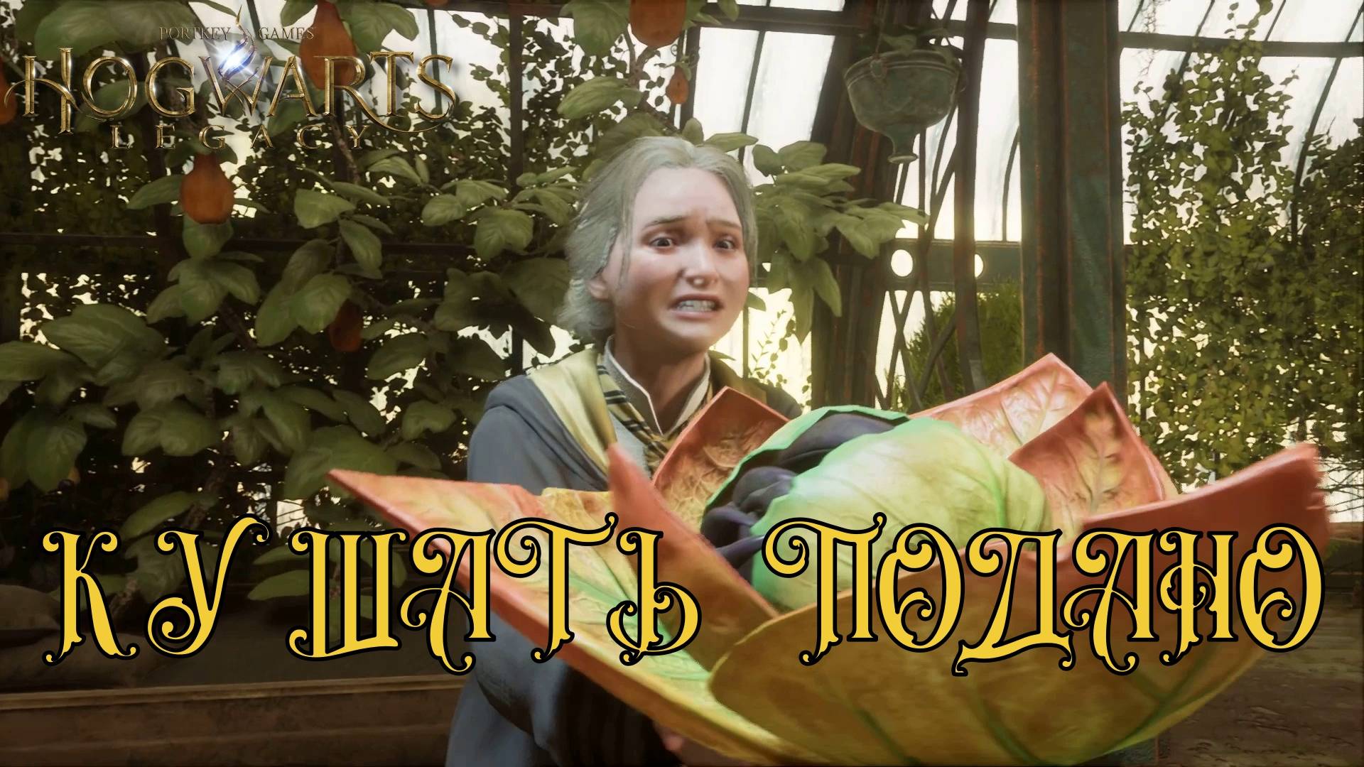 HOGWARTS LEGACY. Серия №12, "Я ПОДАРЮ ТЕБЕ ВОН ТУ ЗВЕЗДУ" | Космонавт Play