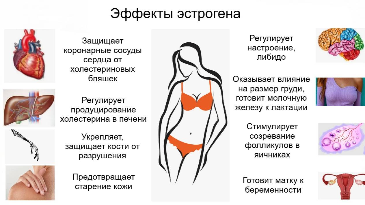 Недостаток эстрогена у женщины, симптомы и лечение смотреть онлайн