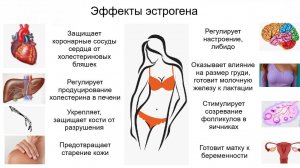 Недостаток эстрогена у женщины, симптомы и лечение