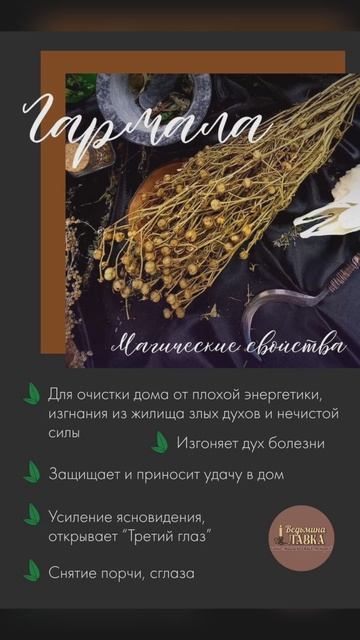 травы для магии