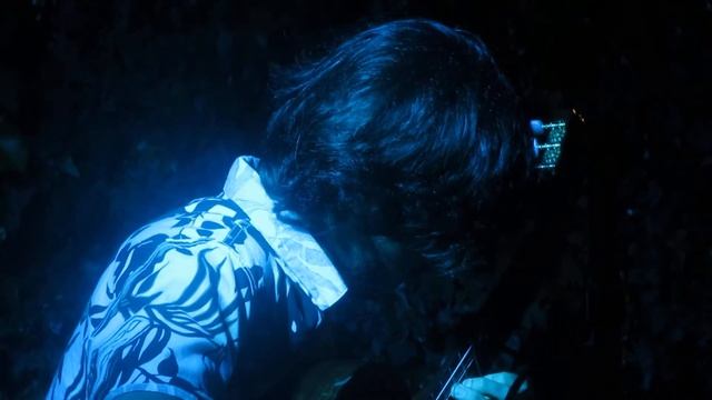 Mazurka Choro - Villa Lobos