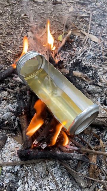 Camping Skills:Tips For Frying Fish From A Can#asmr#outdoors #bushcraft #survival #experiment#skill