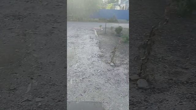 як вам маи цветочки патпешися друг 👍👍👍👍👍👍👍👍👍👍👍👍👍👍 смотреть онлайн