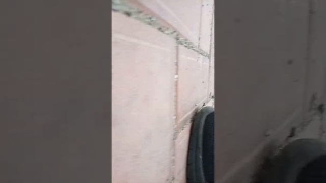 катаем на площади Ленина смотреть онлайн