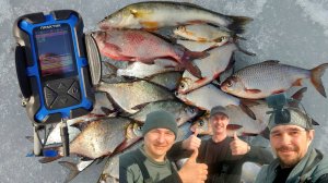 ЗАКРЫВАЕМ ЗИМНИЙ СЕЗОН: ИСКАЛИ СУДАКА, НО НАШЛИ СТАЮ МИРНОЙ РЫБЫ