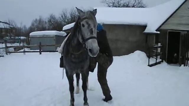DSCF4308 смотреть онлайн