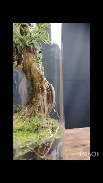 Искусственный бонсай