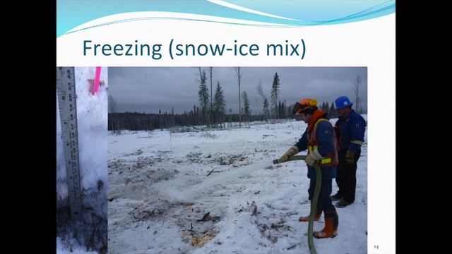 Forest Floor Protection in the Reclamation of Temporary Drilling Pads смотреть онлайн