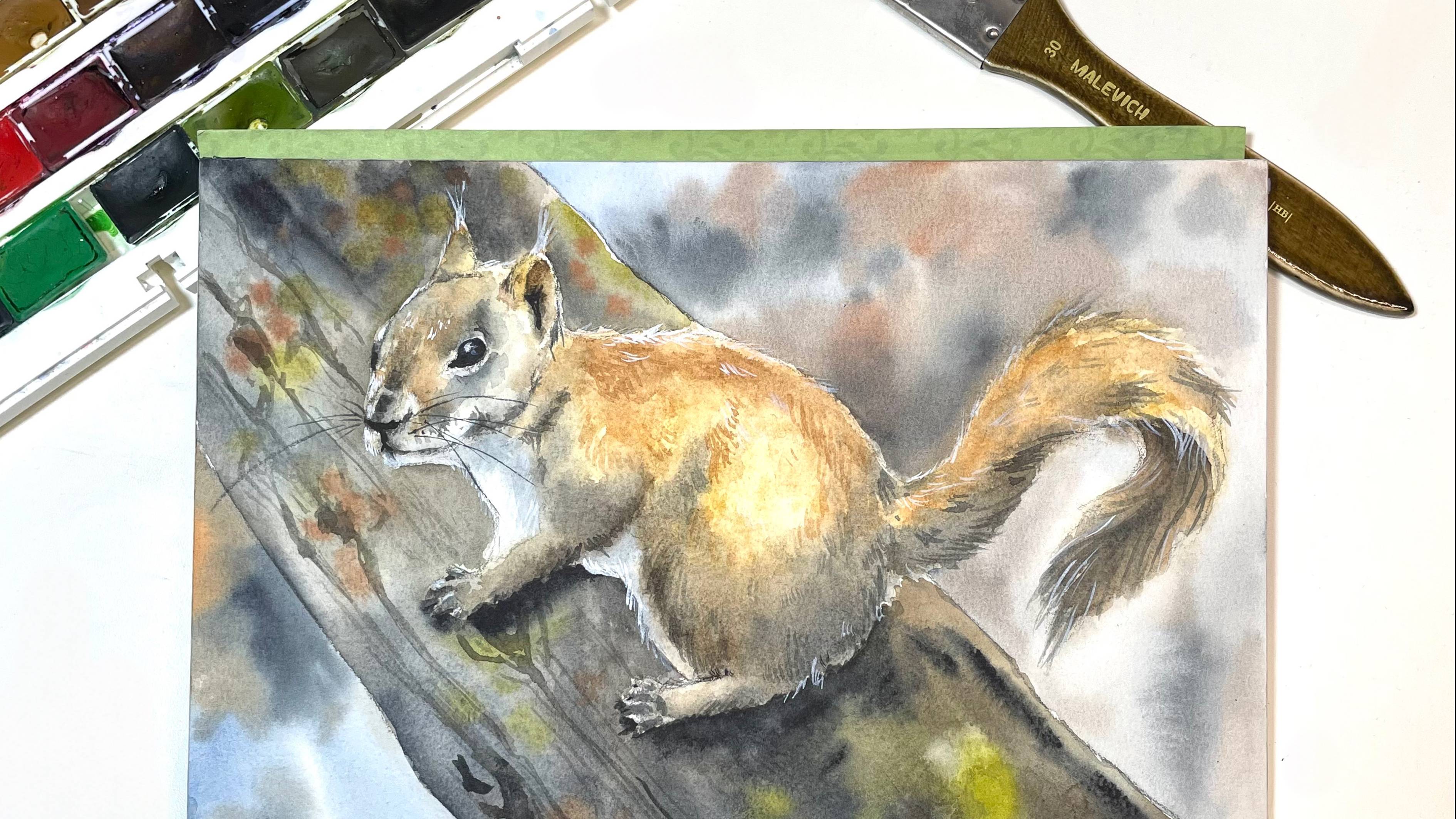 Рисуем белочку на дереве в клубе 🐿️ смотреть онлайн