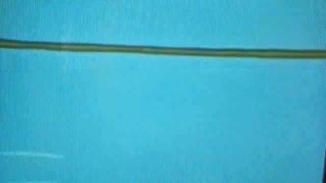 Болек и Лёлик польская мультфильм