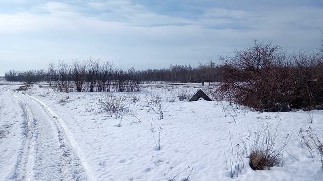 Исчезнувший посёлок 2-е Отделение совхоза "Тепличный". Саратовский район.