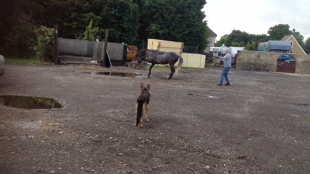 Splash Dance!!! Long reigning through a puddle!! смотреть онлайн