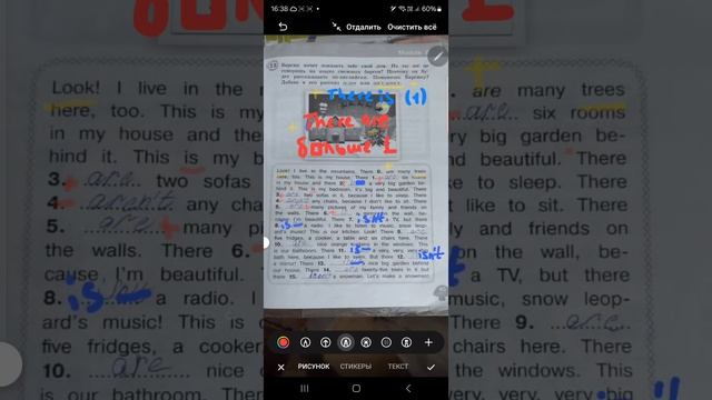 starlight 3, рабочая тетрадь стр 24 номер 13, видеоразбор задания с переводом, гдз, старлайт 3 класс