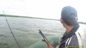 Гибрид ветерок 8 Лифан