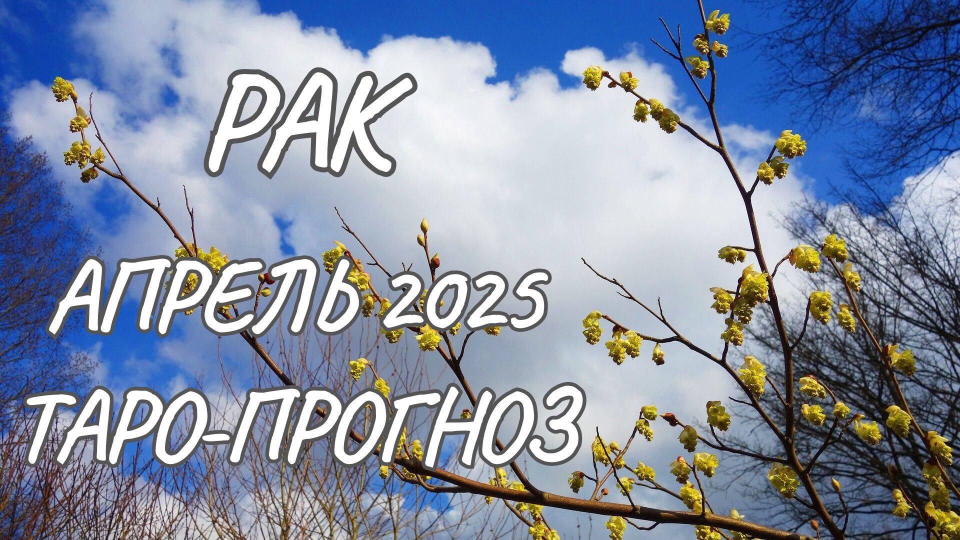 Рак ♋ Таро-прогноз на апрель 2025 года смотреть онлайн