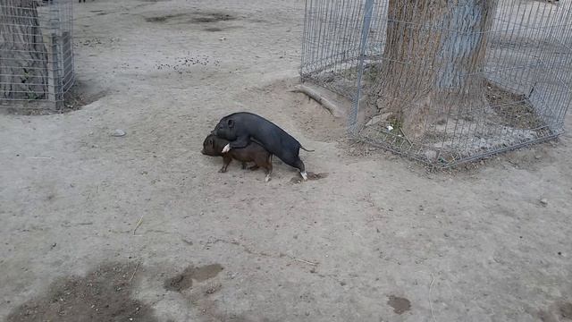 и такое бывает смотреть онлайн