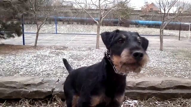 прыжок со стены 2 м смотреть онлайн