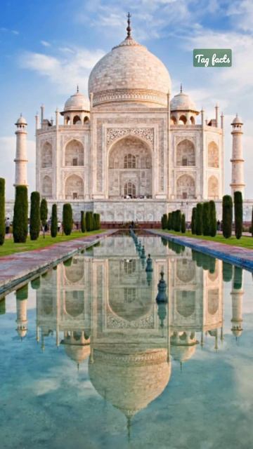 Taj Mahal: The True Story || Facts About Taj Mahel #shorts #youtubeshorts (FACT NO 3) смотреть онлайн