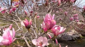 ОТЕЛЬ МРИЯ В КРЫМУ. ВО ЧТО ПРЕВРАТИЛОСЬ ЭТО МЕТО. ЛУЧШИЙ КУРОРТ КРЫМА. ПОКАЗЫВАЮ ВСЮ ПРАВДУ.