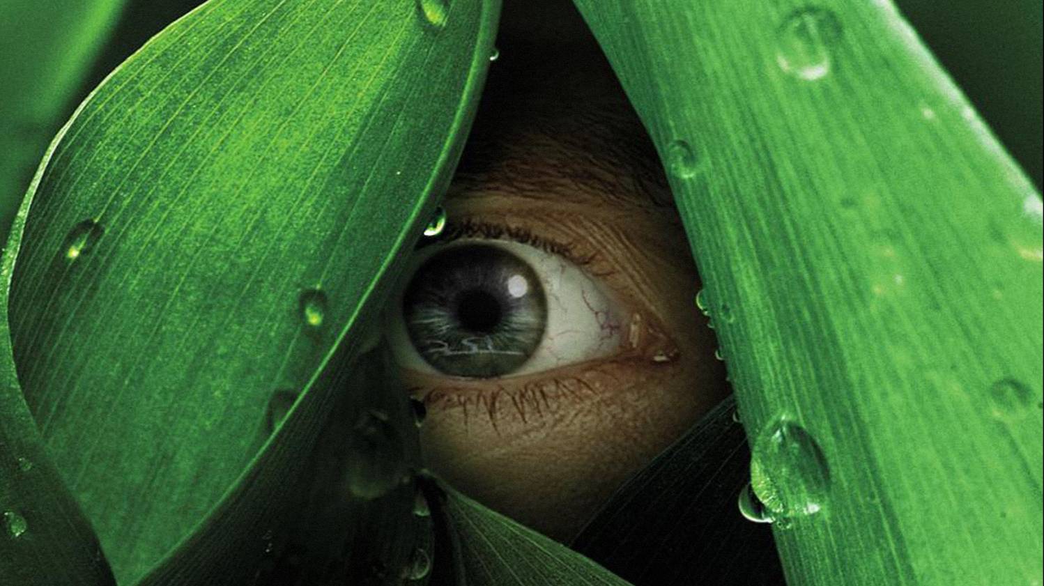 Сериал Река — 1 сезон 3 серия / The River