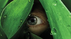 Сериал Река — 1 сезон 3 серия / The River