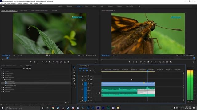 Premiere Pro Editing Basics Tutorial - For Beginners | Malayalam смотреть онлайн