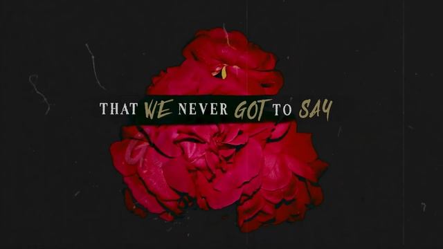 Audio Reign - Senses [Official lyric video] смотреть онлайн