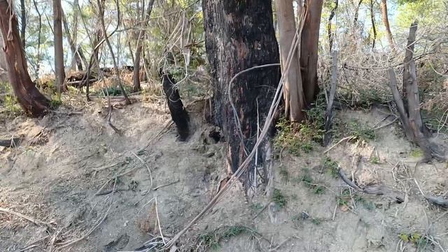 Прогулка из Парнаута к санаторию Смецкого смотреть онлайн