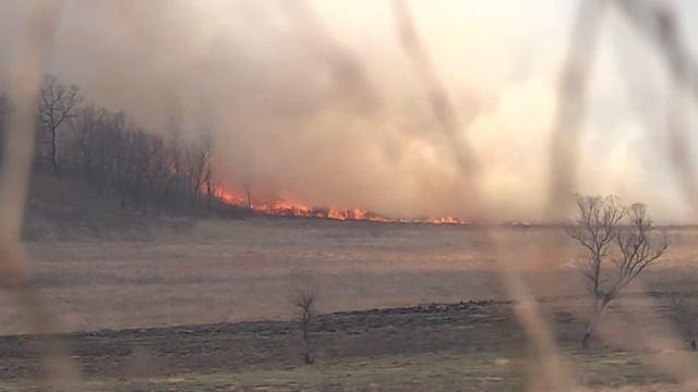 Пожар в Благовещенском районе смотреть онлайн