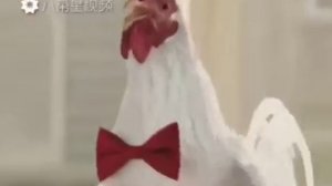 Ку ку кукареку