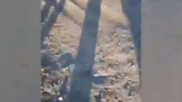 Солтон-Сарыдагы чыр-чатак #жанылыктар #ош #алай #узген #ноокат #карасуу #араван #сулаймантоо #ошпо смотреть онлайн