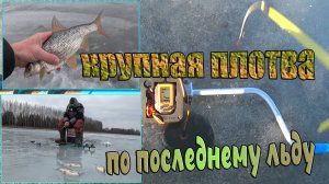 Ловля крупной плотвы по последнему льду! Как её ловить с эхолотом - ПРАКТИК 6м! Рыбалка в марте!