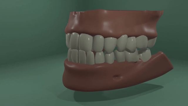 BLENDER 3D MODEL Modelo dental con movimiento смотреть онлайн