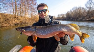 СОТНЯ ЩУК на мелководье!!! НАДО ВИДЕТЬ этот КЛЕВ ВЕСНОЙ!