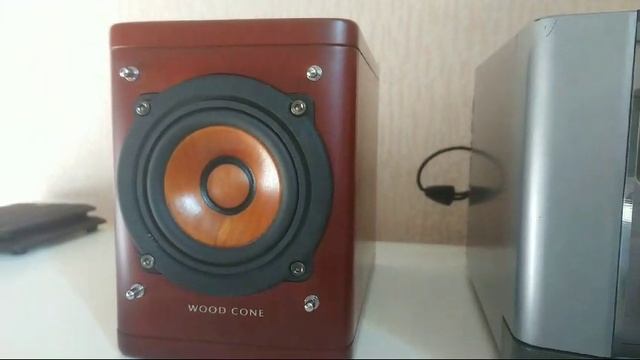 JVC UX-1000&VC Victor Woodcone SP-EXA1