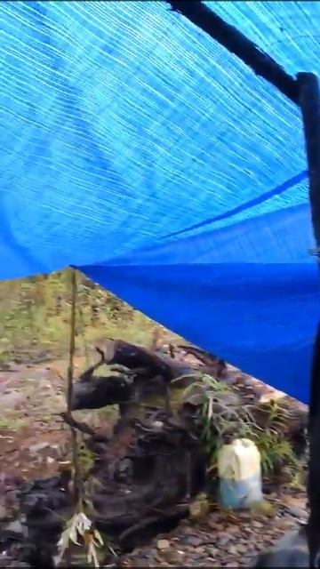 😋🍲УХА С ЛЕНКА/ХАРИУСА😋🍲 #уха #рыба #ленок смотреть онлайн