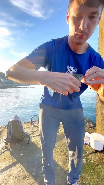 Рыбалка на Черном море 🐟 #shorts #reels #рыбалка #fishing смотреть онлайн