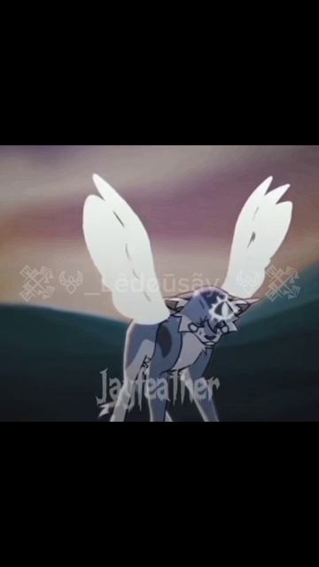 #КотыВоители#Топ#Люблю#МойЛюбимыйФД