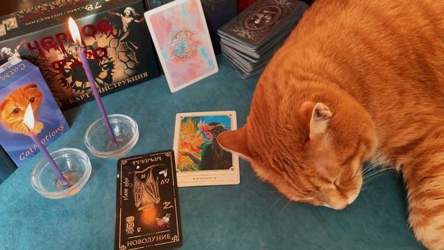 ВАШ МАГИЧЕСКИЙ ПОТЕНЦИАЛ: ВЫ МОЖЕТЕ БОЛЬШЕ, ЧЕМ ДУМАЕТЕ смотреть онлайн