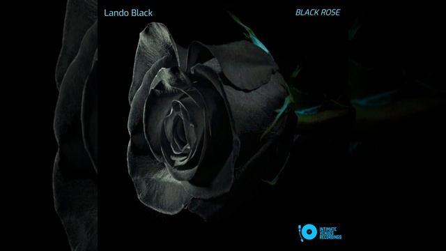 Black Rose смотреть онлайн