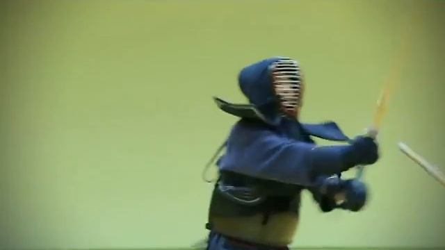 Fight review 14 Владимир Киндзулис KENDO