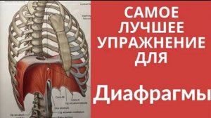 Гимнастика диафрагмы