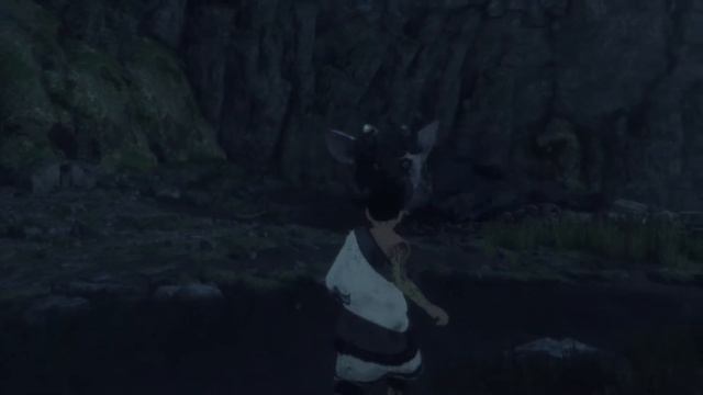 THE LAST GUARDIAN #1 - O Início da Mágica Aventura! (1080p) смотреть онлайн