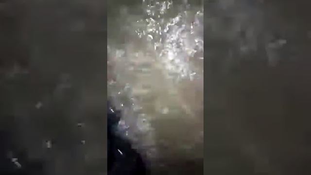 Sacando almejas en comodoro rivadavia смотреть онлайн