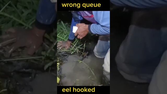 #amazing Abig eel caught on a hook смотреть онлайн