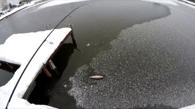 В ПОГОНЕ ЗА ФОРЕЛЬЮ #ГЖЕЛКА смотреть онлайн